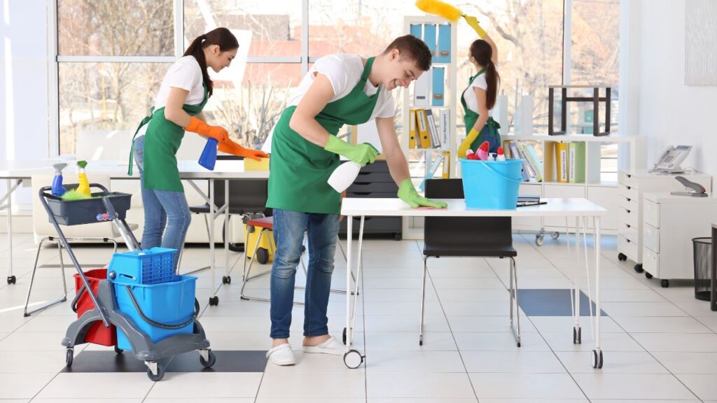 House Cleaning Services in Regency